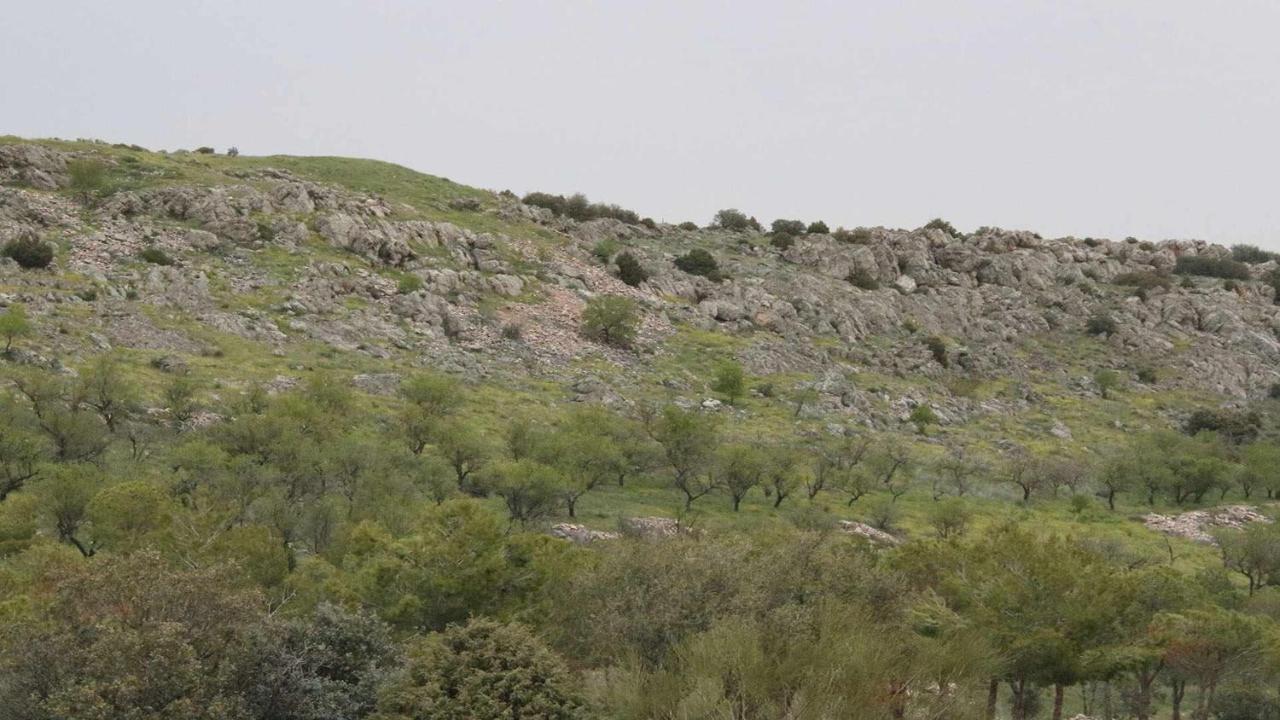 דירות Marjaliza El Rincon De San Jose מראה חיצוני תמונה