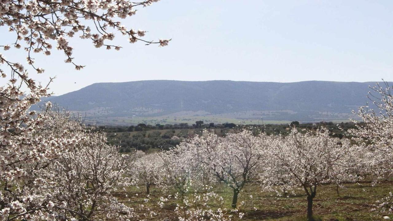 דירות Marjaliza El Rincon De San Jose מראה חיצוני תמונה