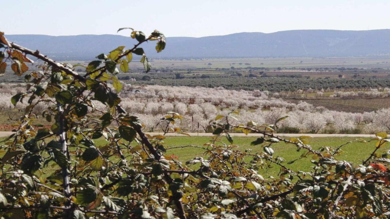 דירות Marjaliza El Rincon De San Jose מראה חיצוני תמונה